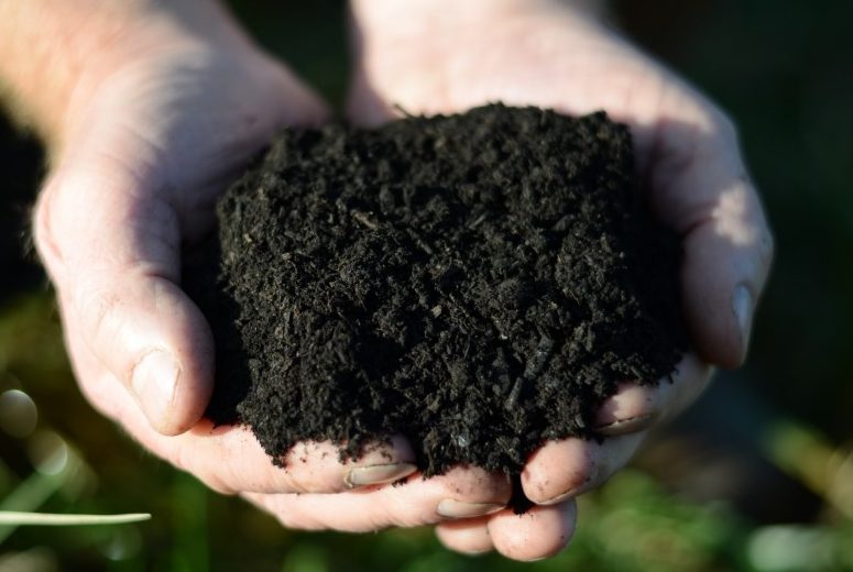 Urban Garden Supplies